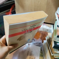 Nền văn hoá mới của Việt Nam 466583