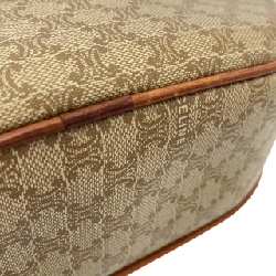 Túi xách đeo vai Celine - Hàng hiệu Authentic 802371