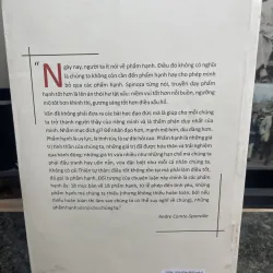 Chuyên luận nhỏ về những phẩm hạnh lớn Andre Comte-Sponville 761238