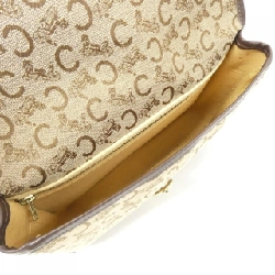 Túi xách vai Celine - Hàng hiệu Authentic 805753