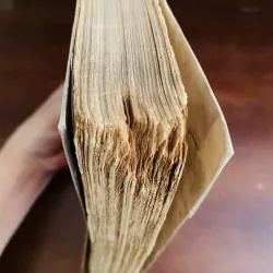 Hán văn - Trần Trọng San (năm 1971) 790342