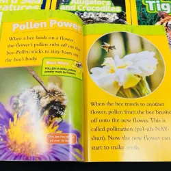 National geographic (Sách nhập) - Level 2 - Full bộ mới nhất 41 quyển + File Mp3 759653