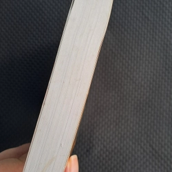RUỒI TRÂU -  Ethel Lilian Voynich 466608