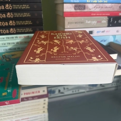 Không Gia Đình 496907