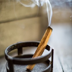 Gỗ trắc xanh - Palo Santo  19101