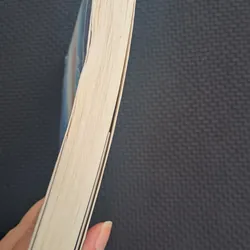 Khi tài năng không theo kịp giấc mơ - Mèo Maverick (tản văn) 731561