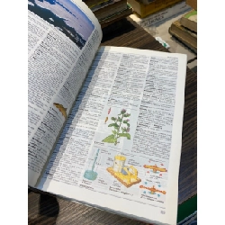 Le Petit Larousse Illustre 738431