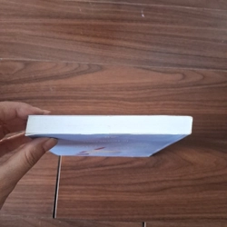 Cánh chim trong gió - tản mạn về điện ảnh - lê hồng lâm 523561