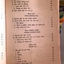 Trồng hoa cây cảnh trong gia đình - Nguyễn Huy Trí - Đoàn Văn Lư 1001807