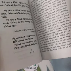 Kinh Vô Lượng Thọ - Thích Tuệ Đăng (Dịch) 928502