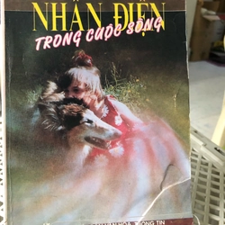 NHẬN DIỆN TRONG CUỘC SỐNG  259703