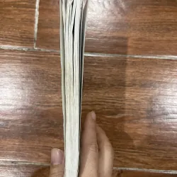 Những quái vật thần bí  (7) 928137