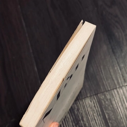 Màn - Milan Kundera (đọc mô tả) 505602