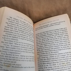 The lovely bones - Alice Sebold - sách ngoại văn đã qua sử dụng 72544