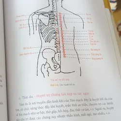 Cẩm Nang Dưỡng Sinh Thông Kinh Lạc 559473