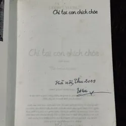 Chỉ tại con chim chích choè 933806