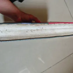 Khoa học xã hội trên thế giới 1001054