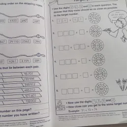 Developing Numeracy: 1008523