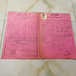 Bộ thành tích biểu xưa nam sinh Trung học tư thục Phan Sào Nam và Phan Chu Trinh Biên Hoà 1013154