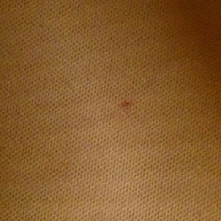 Túi Louis Vuitton Monogram Neverfull PM M40155 609871