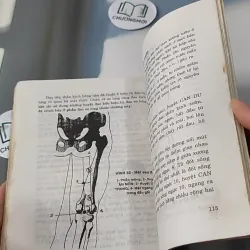 Phương Pháp Bấm Huyệt Chữa Bệnh - Phùng Lực Sinh 727233