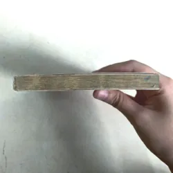 Phiêu Lưu Cùng Nhân Mã 🐰 606196