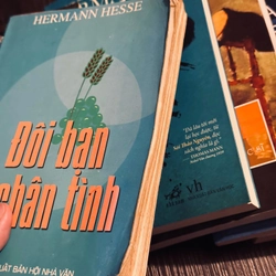 Combo 8 tác phẩm của Hermann Hesse  479277