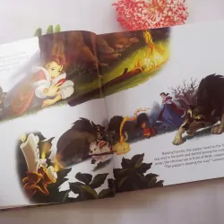 Disney Princess Storybook Collection 961402