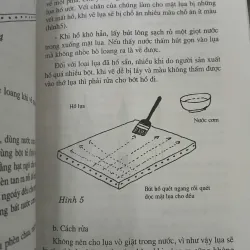 GIÁO TRÌNH TRANH LỤA - NGUYỄN THỤ 795370