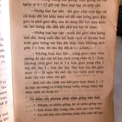 Trồng hoa cây cảnh trong gia đình - Nguyễn Huy Trí - Đoàn Văn Lư 1001807
