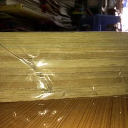 Người thú - Mukai Natsumi 784513