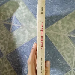 Cát bụi chân ai - Tô Hoài 726710