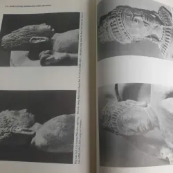 Khảo Cổ Học Đồng Bằng Sông Mê Kông - Tập 4 - Tả Ngạn Sông Hậu Đến Lưu Vực Sông Đồng Nai 707793