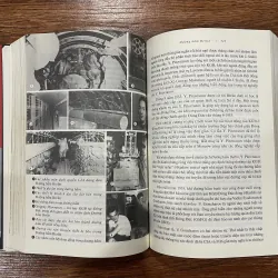 Răng sư tử - Yên Ba (7) 758230