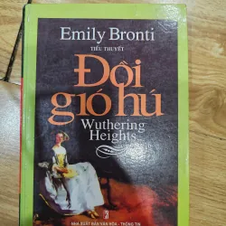 Đồi gió hú (bìa cứng,  xb 2009)
30k