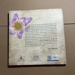 Bây giờ mới thấy 570541