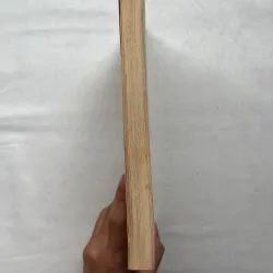 Boomerang: Travels in the New Third World - Michael Lewis 795395