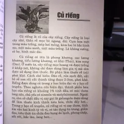 Chữa bệnh từ cây cỏ vườn nhà và bài thuốc gia truyền - Hải Quỳnh 1005367