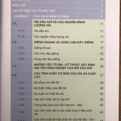 CÔNG NGHỆ XỬ LÝ VÙNG CẬN ĐÁY GIẾNG CÁC MỎ DẦU KHÍ Ở THỀM LỤC ĐỊA NAM VIỆT NAM 465825
