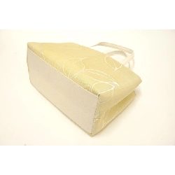 Túi truyền thống - Hàng hiệu Authentic 878670