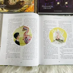 HARRY POTTER (Sách nhập) - Bộ 4 quyển Bìa cứng siêu đẹp 758753