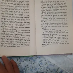 The bobbsey twins and the big rivers mystery 930936