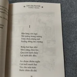 CÁNH CHIM PHAI KHẮT 720689