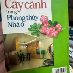 CÂY CẢNH TRONG PHONG THUỶ NHÀ Ở