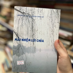 Mầu nhiệm lời chúa 