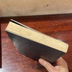 BIÊN NIÊN CÔ ĐƠN - nguyễn Ngọc Thạch  1029452