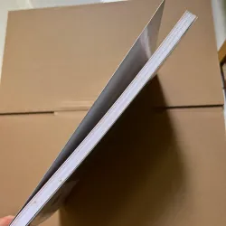 Đứa con lưu lạc của Singapore 745796