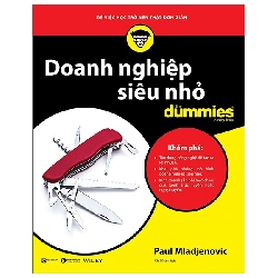 Doanh nghiệp siêu nhỏ for dummies - Paul Mladjenovic - 2020 - DUMMIES Rebooks.vn