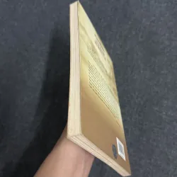 Tôi đã trở thành nhà văn như thế nào - Phùng Quán 907600