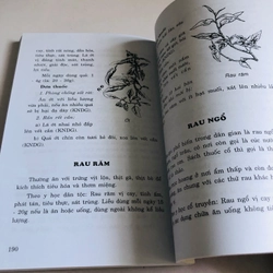 PHÒNG VÀ CHỮA BỆNH BẰNG THỨC ĂN HÀNG NGÀY  548615